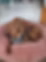 MaxiBett.jpg